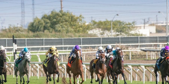 3 Yaşlı İngilizler