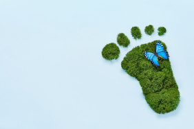 Ekolojik Ayak İzi Hesaplama