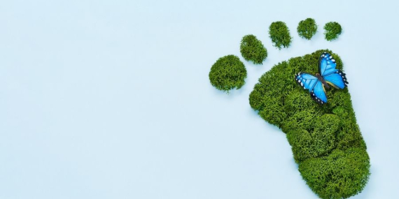 Ekolojik Ayak İzi Hesaplama