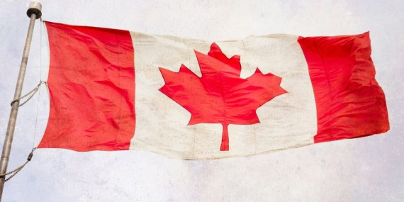 Kanada Sertifika Programları