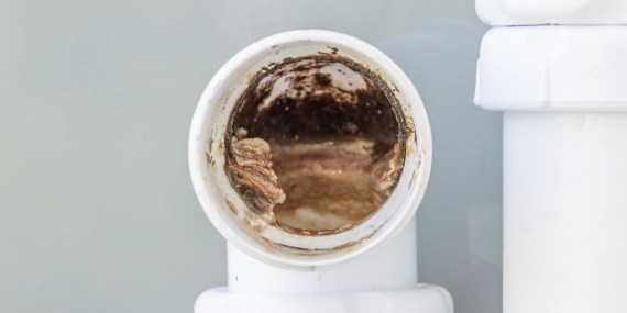 Pimaş Boru Tıkanıklığı Nasıl Açılır?